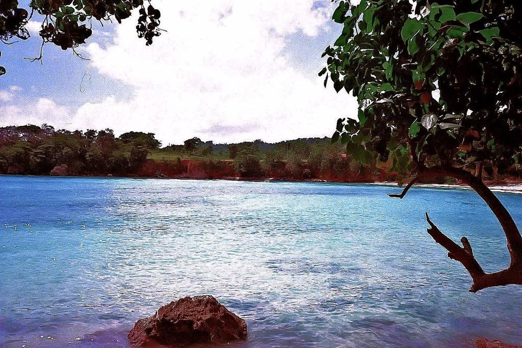 Boston Beach Guesthouse Port Antonio Exteriér fotografie