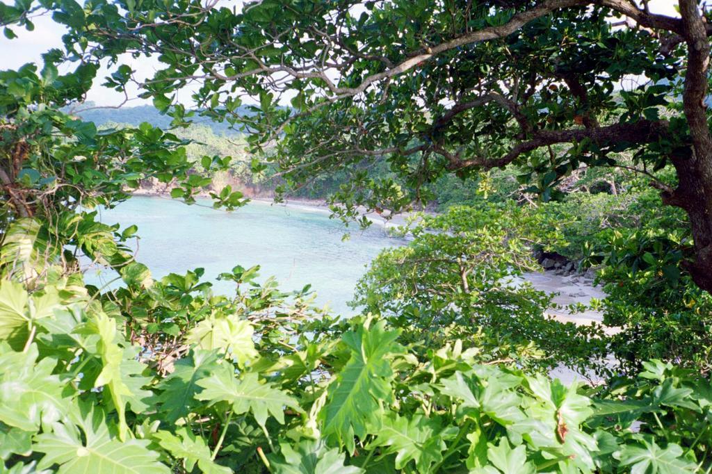 Boston Beach Guesthouse Port Antonio Exteriér fotografie